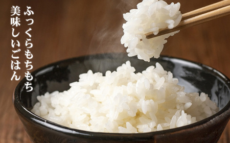 『ひすいの里』10kg《令和7年産》【新潟県産コシヒカリ 特選米 豊かな自然が育んだ美味い米 新潟米 農家自慢 糸魚川 米どころ新潟 米作りのプロ 地元農家 JA こしひかり 美味しい米 おにぎり 精米 こしひかり10kg おすすめ 人気 2025年】