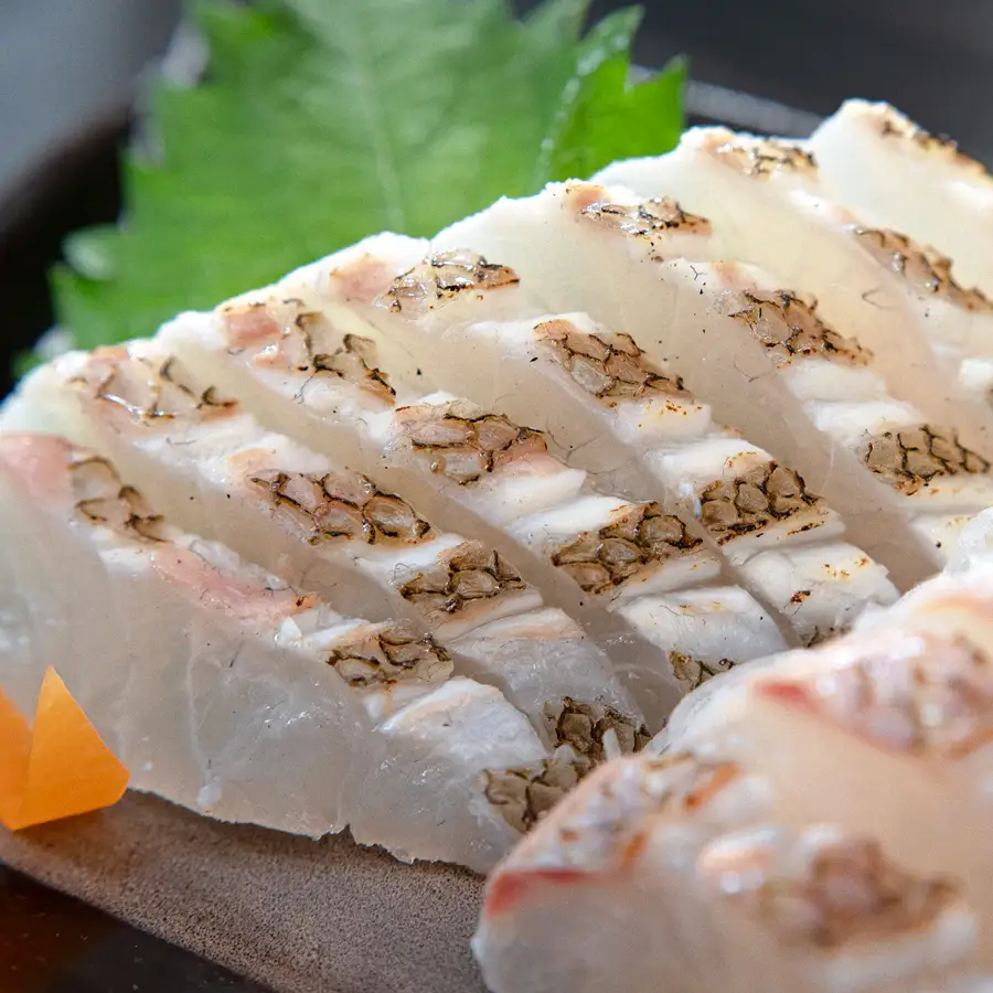 【先行受付】 朝獲れ 真鯛 フィーレ 皮付き 500g以上 刺身 冷蔵 養殖 たい タイ マダイ セット 真空パック 産地直送 当日発送 鮮度抜群 鯛めし 鯛丼 カルパッチョ 塩焼き お取り寄せ ギフト 贈答 はやぶさ水産 高知県 大月町 柏島産