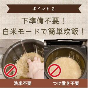 もちもち玄米【ぷちっともち玄米】洗米・つけ置き不要 炊飯器で簡単/子どもも喜ぶ/900ｇ×6袋