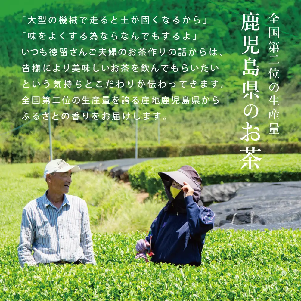 【新茶：5月発送開始】鹿児島県産緑茶 大浦茶 一番茶 2本セット(100g×2)［贈答用］ 鹿児島県産 国産 かごしま お茶 日本茶 鹿児島茶 緑茶 茶葉 冷茶 飲料 飲み物 旨味 コク 簡単 美味しい 減農薬 プレゼント 贈答 贈答品 贈り物 ギフト 鹿児島県 南さつま市 徳留茶農園