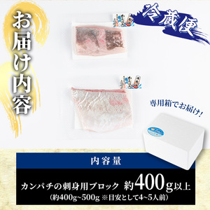 カンパチ 刺身用 ブロック 冷蔵(約400-500g・4-5人前) カンパチ かんぱち 神経締め 獲れたて 鮮魚 ブロック 刺身 冷蔵 海の直売所 大分県 佐伯市【AS132】【海べ (株)】