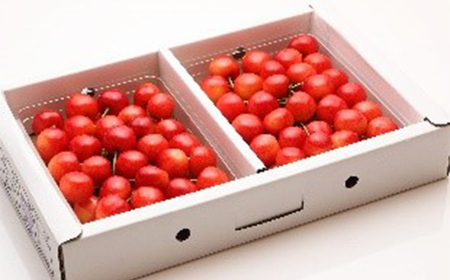 【先行予約 令和8年度発送】山形県産 さくらんぼ 紅秀峰 700g（350g×2パック） 秀品以上 L～2Lサイズ FSY-0675