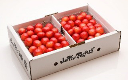 【先行予約 令和8年度発送】山形県産 さくらんぼ 紅秀峰 1kg（500g×2パック）秀品以上 L～2Lサイズ FSY-0676