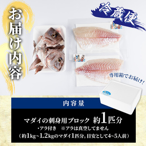 マダイ 刺身用 ブロック 冷蔵(1匹分・4-5人前) マダイ 真鯛 神経締め 獲れたて 鮮魚 ブロック 刺身 冷蔵 海の直売所 大分県 佐伯市【AS133】【海べ (株)】