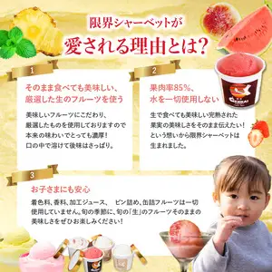限界シャーベット　8個セット J06005