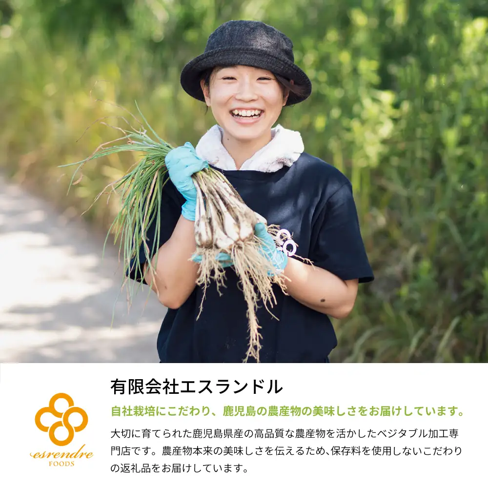 【鹿児島県産】白宝らっきょう 14P（甘酢漬け×7P・しそ漬け7P）