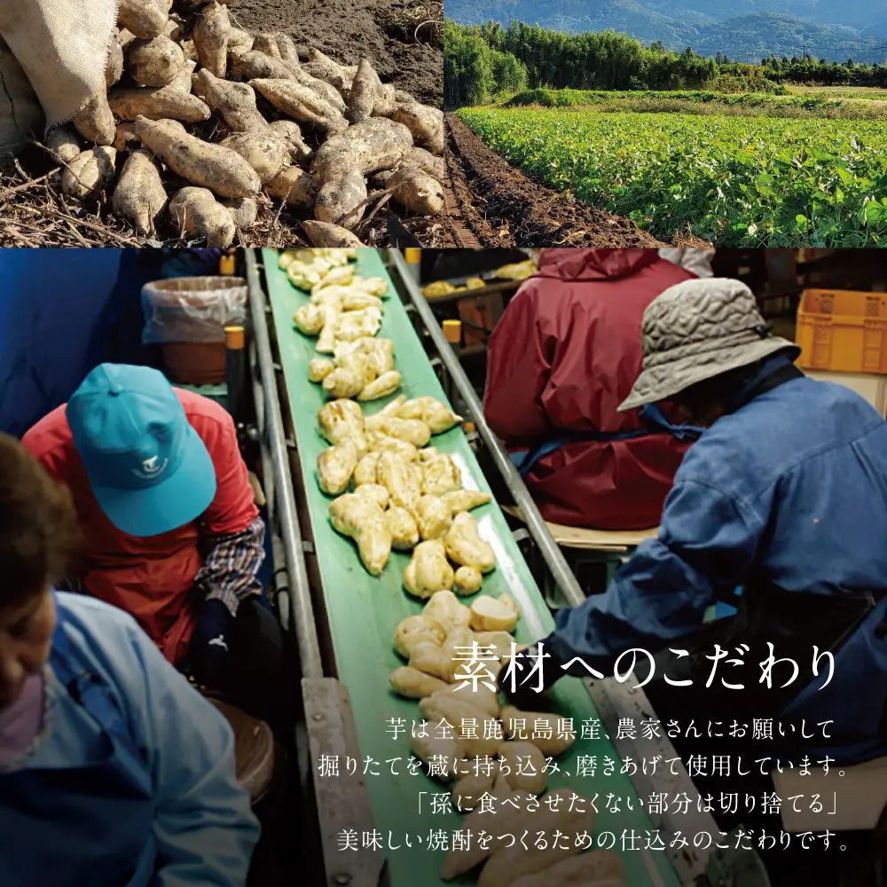【2022 酒類鑑評会優等賞】宇都酒造 本格芋焼酎 1.8L×3本（霊峰金峰／荒濾過金峰／天文館） 芋焼酎 飲み比べ セット ハイボール お酒 ロック 水割り お湯割り ギフト 贈答 南さつま市