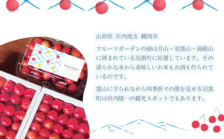 【令和8年産】フルーツガーデンのさくらんぼ 〈佐藤錦〉 バラ詰め L～2Lサイズ 1kg（500g×2）山形県鶴岡市　| サクランボ チェリー 佐藤錦 果物 くだもの フルーツ 1キロ 甘い 完熟 旬 産地直送 果汁 人気 美味しい 2026年産 お取り寄せ 庄内地方 東北 返礼品