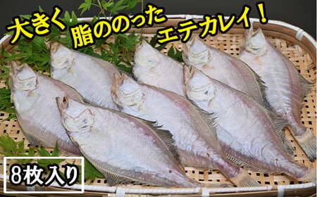 境港産一夜干しかれい（8枚）【一夜干し いちやぼし かれい カレイ エテカレイ 干物 干もの ひもの 乾物 境港 ご当地 ギフト プレゼント ご自宅用 鳥取 日吉津村】