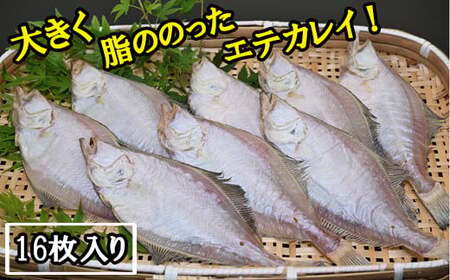 境港産一夜干しかれい（16枚）【一夜干し いちやぼし かれい カレイ エテカレイ 干物 干もの ひもの 乾物 境港 ご当地 ギフト プレゼント ご自宅用 鳥取 日吉津村】