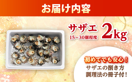 先行予約 2026年6月発送 サザエ 天然 活サザエ 2kg 15～30個 朝獲れ BBQ小浜市 / 桝屋商店【配送不可地域：北海道・沖縄・離島】 [BFAO015] 