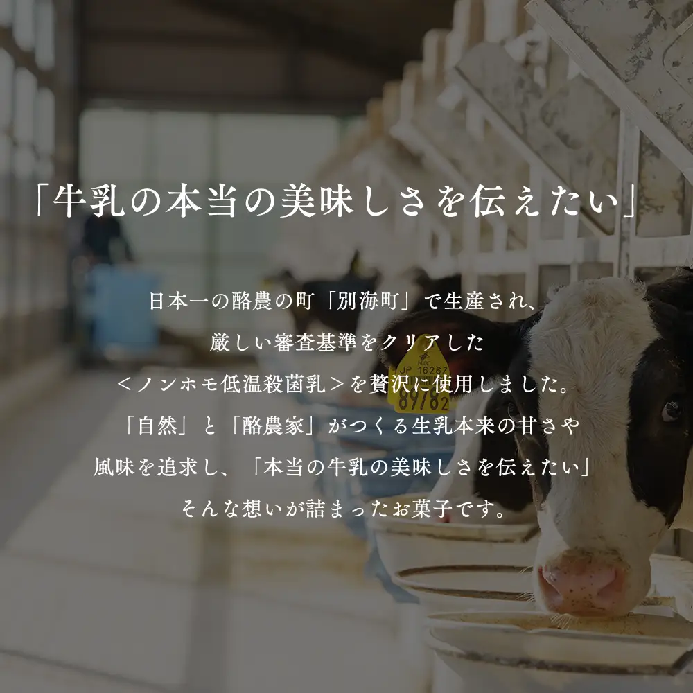 【隔月定期便】　濃厚プリン　New Pudding（ニュープディング）（500g×1本）×4回 be152-0931-200-4　（ ぷりん プリン プディング 北海道 別海町 人気 ふるさと納税 ）