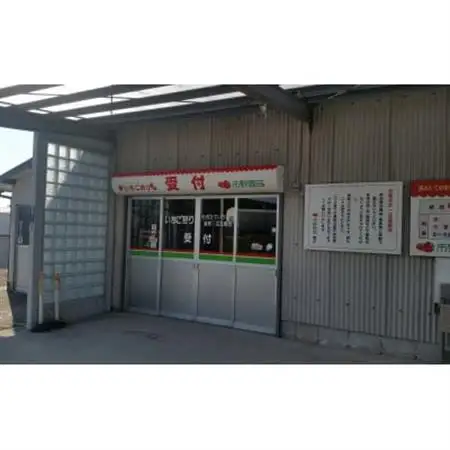 【愛知県半田市の市野園芸】いちご狩り招待券2名様【1402960】