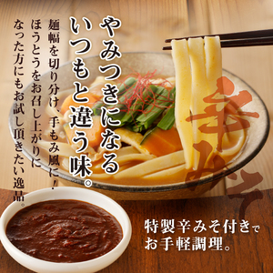 八ヶ岳ほうとう 400g 4人前(2人前x2袋) / 2種類(煮込み+辛みそ)セット / みそ付き / 半生めん / 横内製麺 / 山梨県 北杜市 / 常温 / 山梨 甲州名物 郷土料理 [h221]