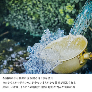 梅錦 ビール12本詰め合わせ（定番ビール5種と季節の限定ビール1種）