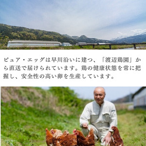 たまごやさんのプリン食べ比べ（フワフワ、贅沢、プレミアム）各2個　計6個 フェルエッグ