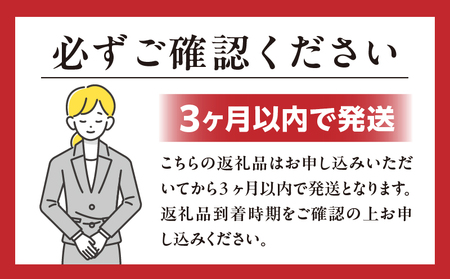 宮崎牛 こま切れ600g 牛肉 肉 お肉 精肉 挽肉 小間切れ 国産牛 和牛 ブランド牛 贈答 贈り物 ギフト グルメ お取り寄せ 炒め物 料理 アレンジ 牛丼 野菜炒め 肉豆腐 普段使い BBQ 宮崎県 高千穂町 _Tk024-018