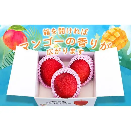 ＜先行予約＞「マンゴー」まるま～さん マンゴー 1kg (2～3玉) (アーウィン種)