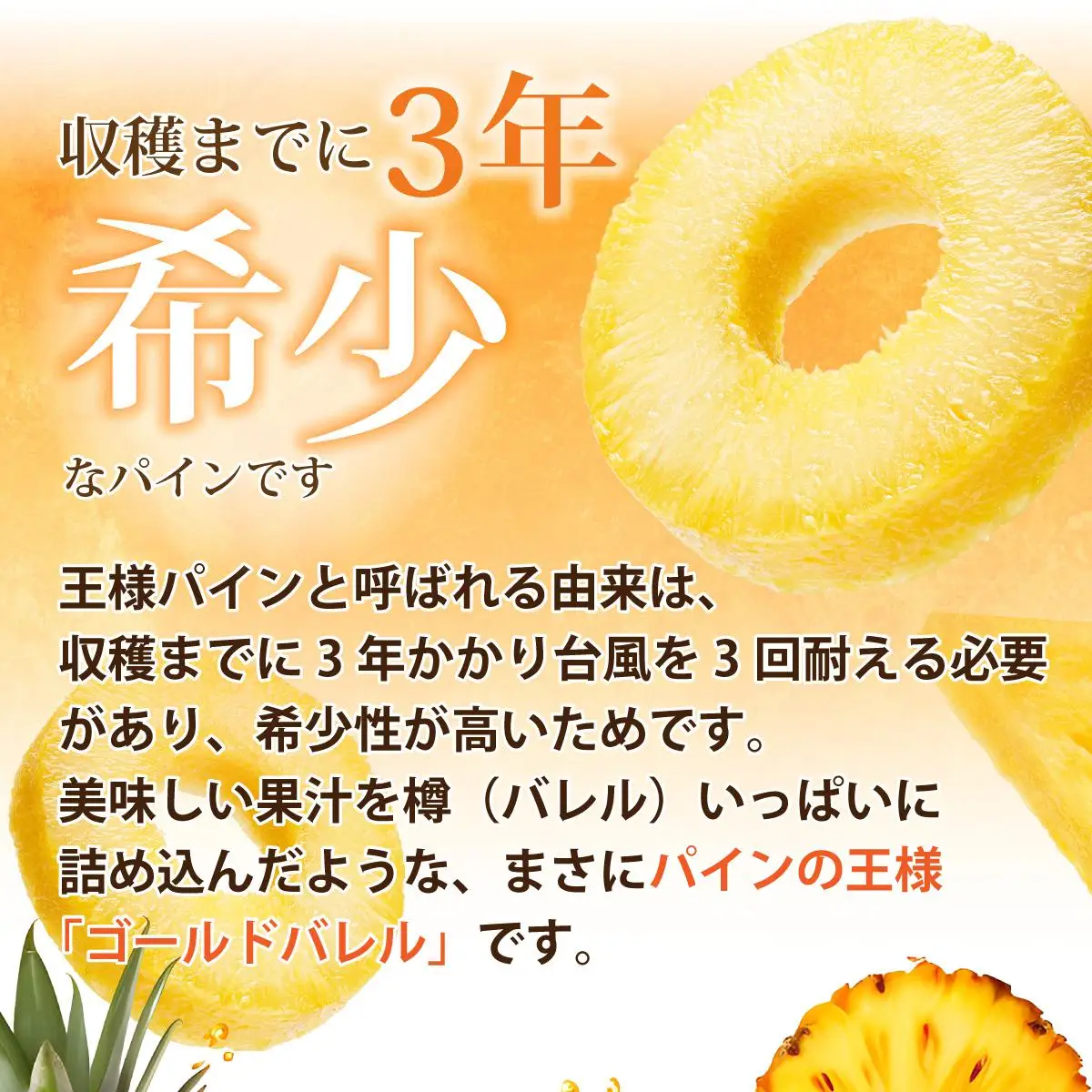 ＜先行予約＞【訳あり】石垣島産 ゴールドバレルパイン 大小混合セット 約4.5kg 　SI-7-1