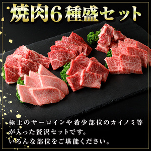 【B01033】鹿児島黒牛 食べ比べ焼肉6種盛(計約600g・各100g×6種) 牛肉専門店自慢のお肉 鹿児島 国産 九州産 牛肉 黒牛 鹿児島黒牛 A4 A5 等級 サーロイン 三角バラ 中落ち カイノミ クリミ ササミ 焼肉 やきにく バラエティ セット ギフト 贈答【新村畜産】