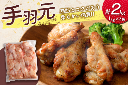 宮崎県産鶏肉 スペシャル鶏三昧セット 合計5kg【B607-2505】