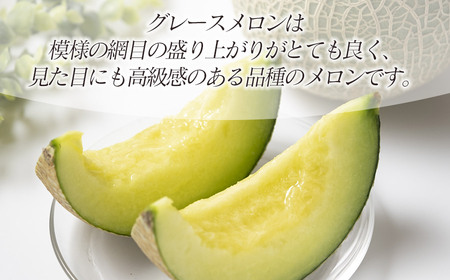 【令和8年産先行予約】産地直送！ 庄内砂丘グレースメロン 約5kg (3～5玉)　佐藤農園　 K-835