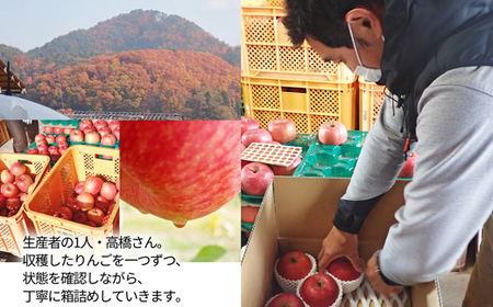 サンふじりんご 3kg (10～12玉) 山形県産 ギフト箱入り 《先行予約 2026年11月中旬から発送開始》 りんご リンゴ 林檎 デザート フルーツ 果物 くだもの 果実 食品 山形県 FSY-0617