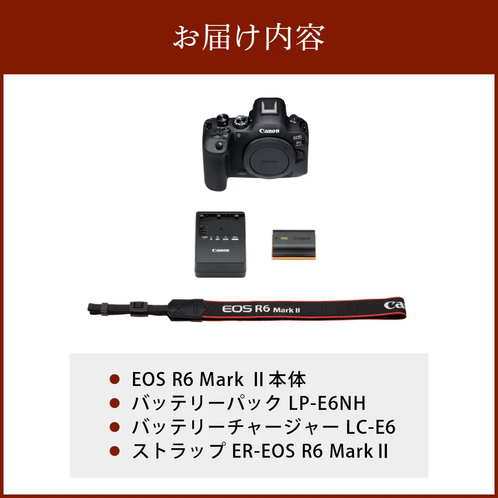 キヤノンミラーレスカメラ EOS R6 Mark Ⅱ Canon カメラ R14150