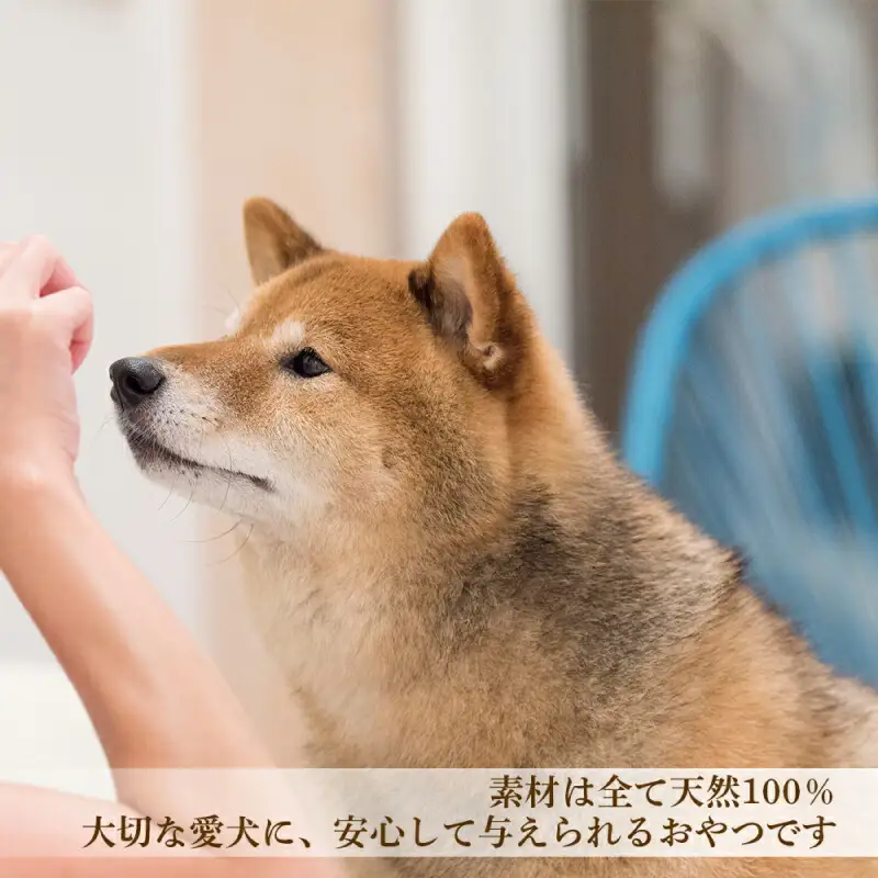 愛犬用★無添加おやつ★エゾ鹿干し肉12個入り 計360g≪REAL DOG FOOD≫_Y020-0566