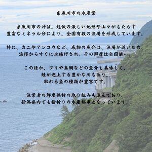 「いくら入りサーモン塩辛」1P(125g)   ご飯のお供に！濃厚な旨味あふれる逸品を！ 伝兵水産