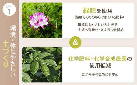 ZS-715 【訳あり】【数量限定】ママたちの想いをギュッ！薩摩で育ったほくほくじゃがいも（ニシユタカ） 10kg