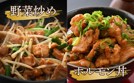 越前大野名物 大美のとんちゃん（ホルモン） 味噌ダレ 900g（300g × 3パック）冷凍 