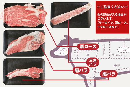 DT-55　★常陸牛A5ランク★【訳あり】常陸牛切り落とし(薄切り) 約1500ｇ(約300g×5パック)
