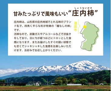 SA2936　庄内柿　約5kg(25～31玉入) L～4Lサイズ