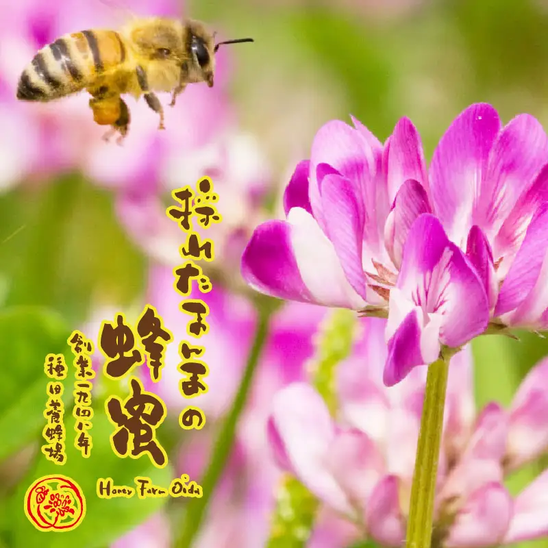 《14営業日以内に発送》【国産蜂蜜】白花豆はちみつ 190g×2個 と ミツロウキャンドル 1個 ( はちみつ 蜂蜜 ハチミツ 白花豆 ミツロウ キャンドル ロウソク ろうそく )【022-0016】