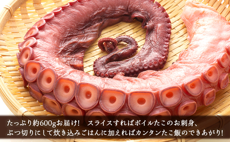 年末年始のお祝いや贈答品にぴったり！ズワイガニ(2肩)とたこセット＜菊地水産＞_Y020-0490
