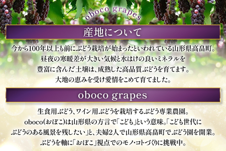 【期間限定発送】 ぶどう デラウェア 8～12房 約 1.5kg 朝採り [oboco grapes 山形県 高畠町 tk06ayt250002]