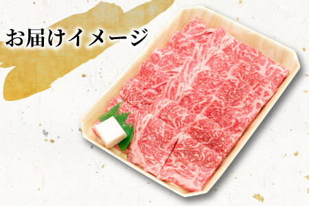 【最短発送】 飛騨牛 ロースまたは肩ロース 焼肉用 600g 牛肉 和牛 肉 焼肉 BBQ ロース カタロース 肩ロース 東白川村 岐阜 贅沢 霜降り 養老ミート 20000円