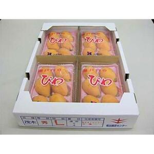 びわ 坂出市産 約1.8kg ( 4パック× 2箱 )｜初夏の味覚