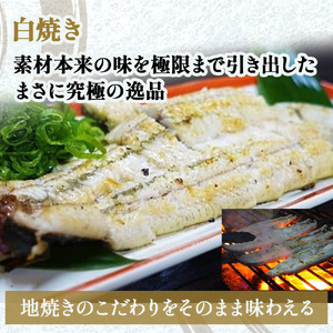 四万十地焼き鰻 蒲焼＆白焼セット（２尾） 高知うなぎ 国産 冷凍 四万十 土用の丑の日 ／Esg-20