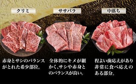 【黒毛和牛】焼肉6種盛り食べ比べセット(真空包装)_33-4201_(都城市) 国産 黒毛和牛 真空 各約200g サーロイン 三角バラ カイノミ クリミ ササバラ 中落ち 焼肉 6種類 