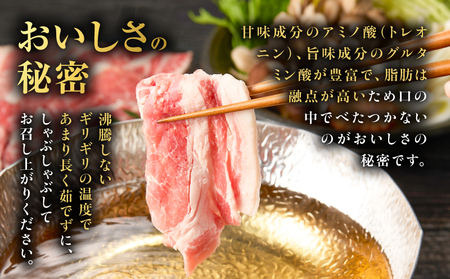 昔ながらの 黒豚しゃぶしゃぶ セット ＜ バラ 、 ロース 、 肩ロース ＞ 6～8人前 K125-004 豚 豚肉