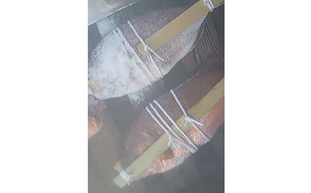 鯛の浜蒸し（約40cm  1.3kg） 魚貝類 魚介類 蒸し鯛 正月料理 進物用 縁起物 お祝い イベント 食べ物 食材 魚 魚料理 加工品 魚の加工品 