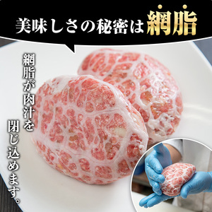 ＜訳あり＞(網脂あり)鹿児島県産黒毛和牛！手ごねハンバーグ(計700g・100g×7個) 国産 牛肉 小分け おかず 惣菜 個包装 冷凍ハンバーグ【スーパーよしだ】akn058-02