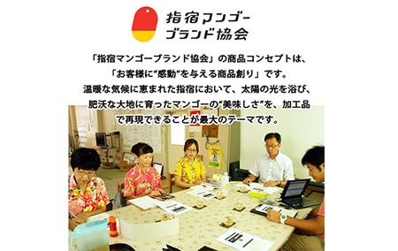 ＜高島屋選定品＞指宿マンゴージェラート9個セット(IB001-034/59D1953)