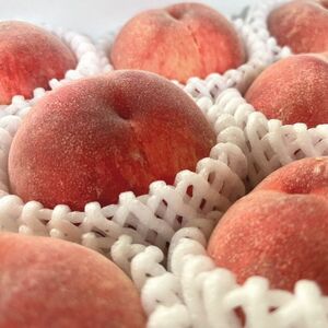 和歌山のこだわり桃　４～６玉（約1.5kg）【数量限定・和歌山ブランド・厳選】【先行受付・2026年7月上旬～7月下旬頃に発送】【ard057D】