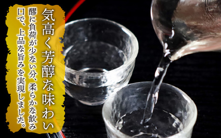 創業125周年記念 純米大吟醸「青龍の輝」　720ml 1本 日本酒 ｜ 日本酒　B-008008