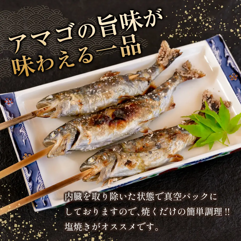 「渓流の女王」芸北アマゴ　5尾セット_OG065_001