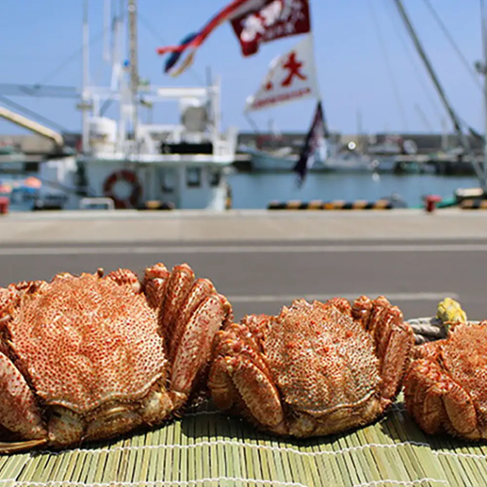 北海道雄武町産メガサイズ！毛ガニ(冷凍)1kg前後×1尾【1237802】