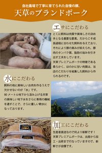 S058-021A_天草プレミアムポーク 豚こま切れ 約2.0kg(約500g×4パック)